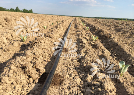 Капельная трубка для полива Капельная трубка для полива